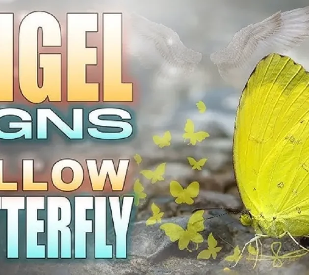 Yellow Butterfly Meaning