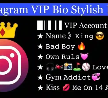 instagram vip bio