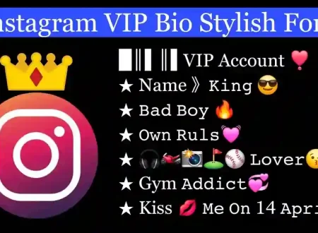 instagram vip bio