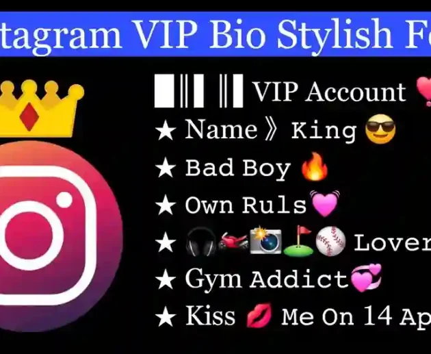 instagram vip bio