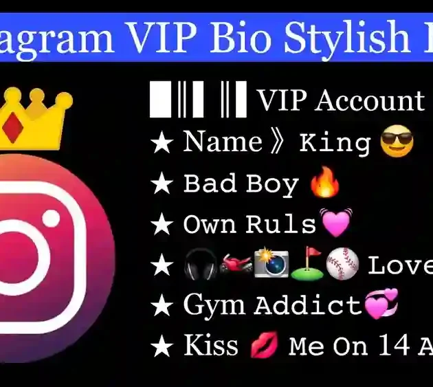 instagram vip bio