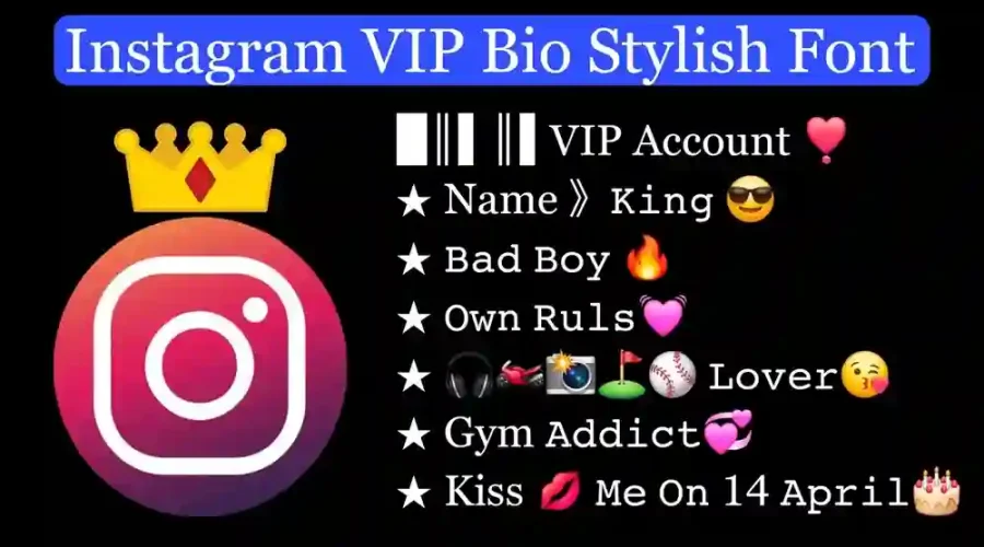 instagram vip bio