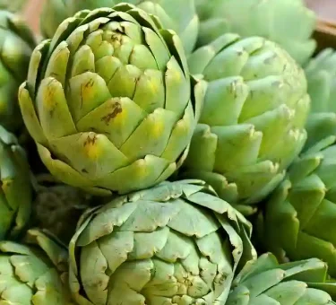 What Does Artichoke Taste Like