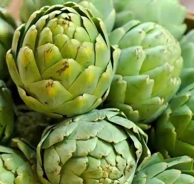 What Does Artichoke Taste Like