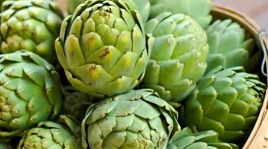 What Does Artichoke Taste Like