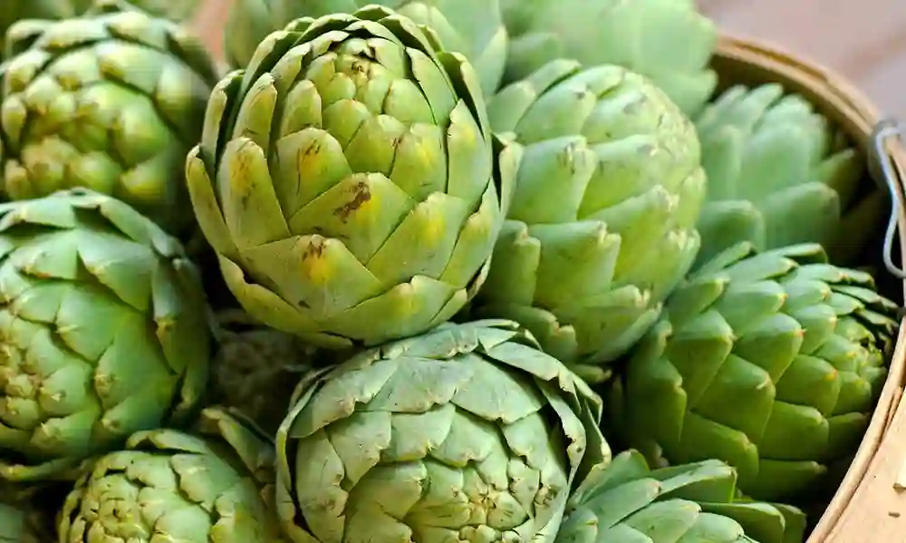 What Does Artichoke Taste Like