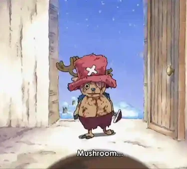 Chopper One Piece