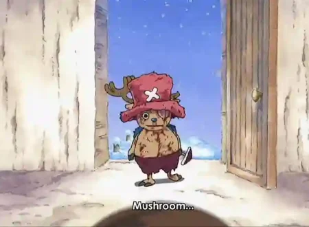 Chopper One Piece
