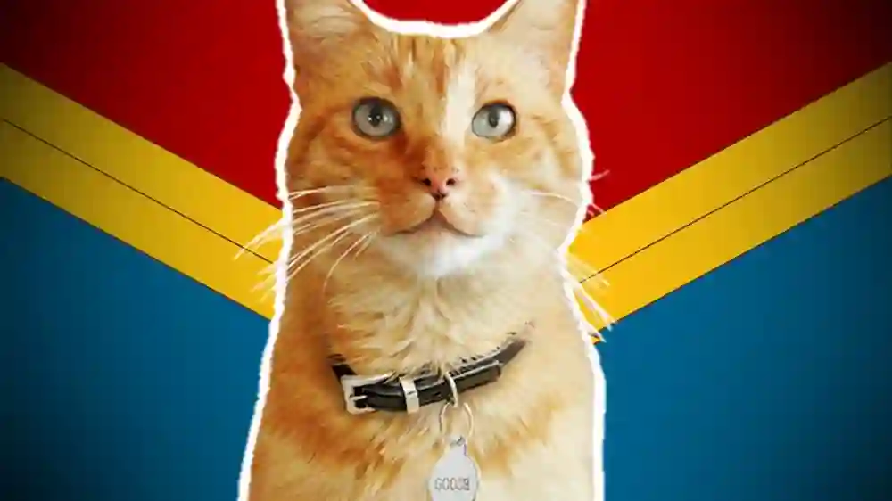 Flerken