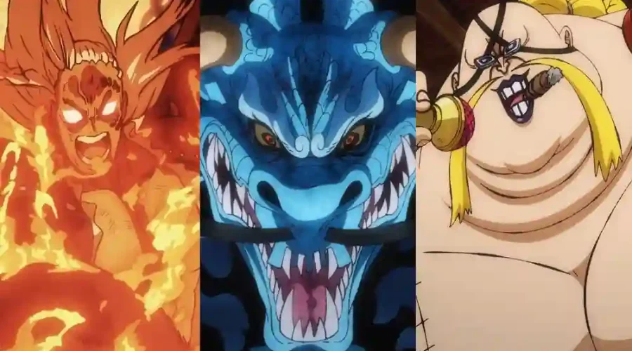 Kaido