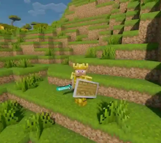 Minecraft Shield