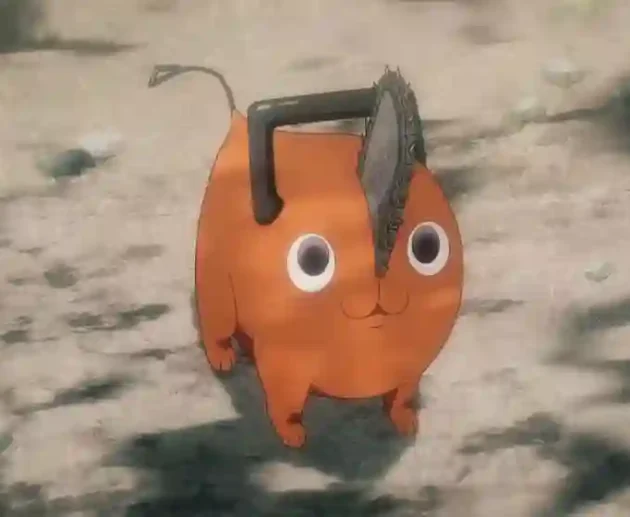 Pochita