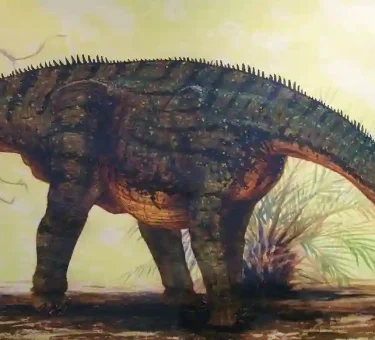 What Dinosaur Has 500 Teeth