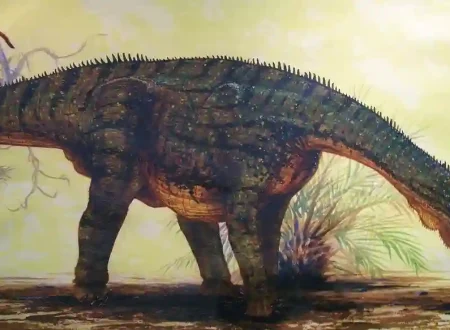 What Dinosaur Has 500 Teeth