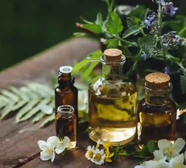 Aromasensei