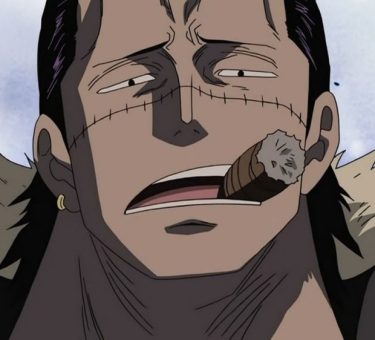 Crocodile One Piece