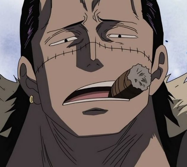 Crocodile One Piece