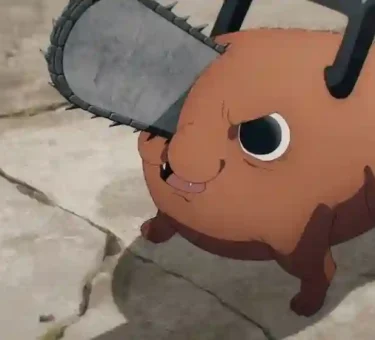 Pochita