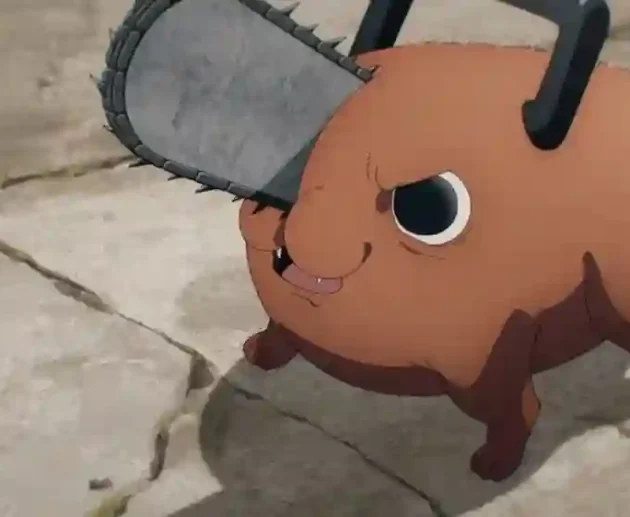 Pochita