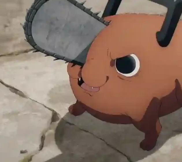 Pochita