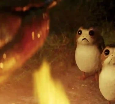 Porg Origin