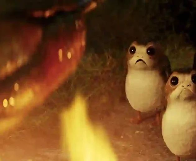 Porg Origin