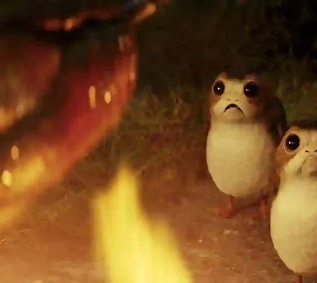 Porg Origin