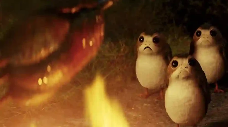 Porg Origin