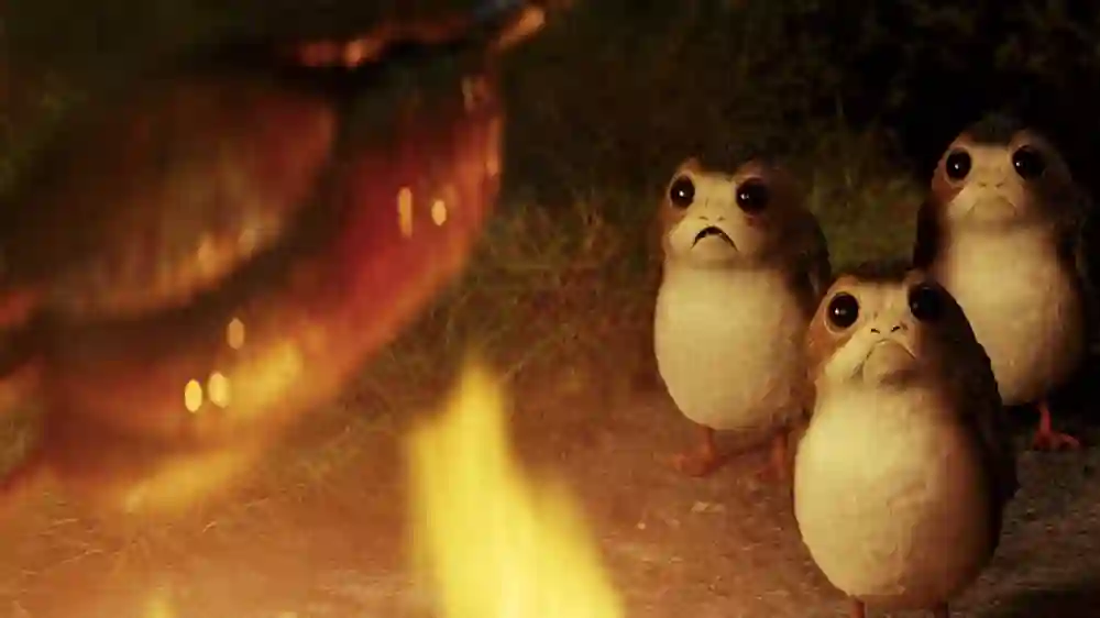 Porg Origin