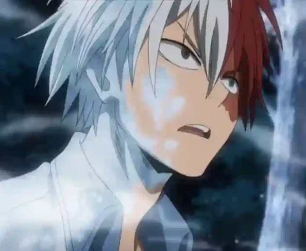 Todoroki
