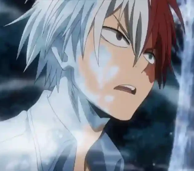 Todoroki