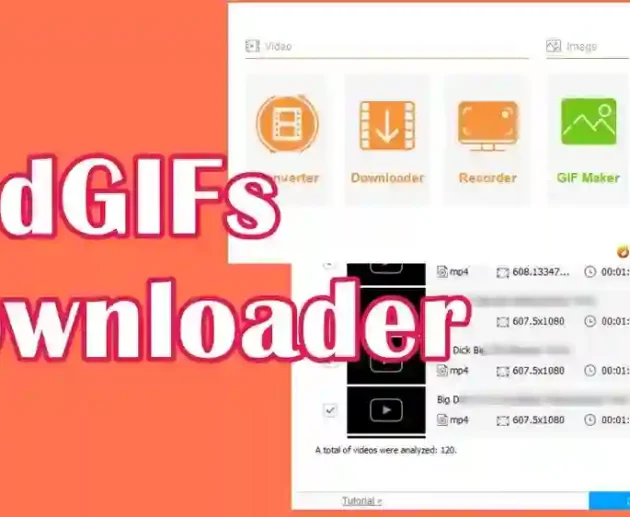 Redgif Downloader