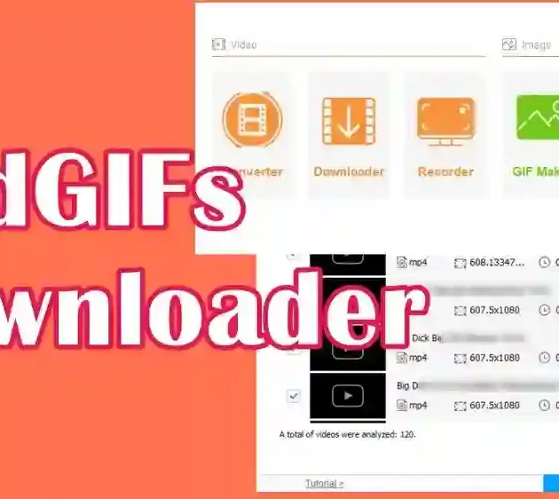 Redgif Downloader