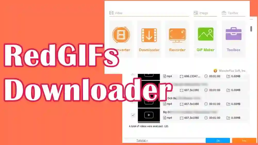 Redgif Downloader