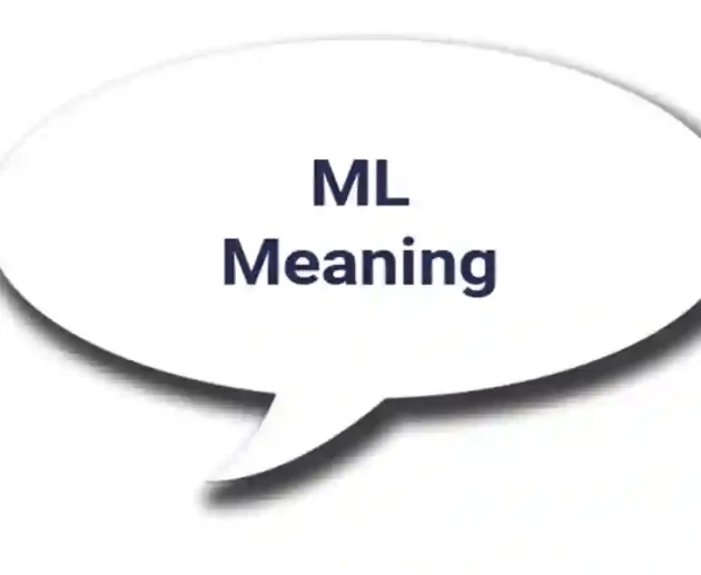 What Does ML Mean in Text
