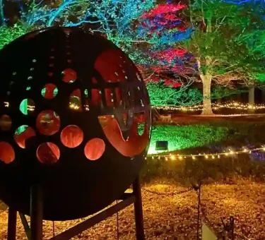 Windsor Illuminated