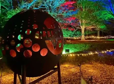 Windsor Illuminated