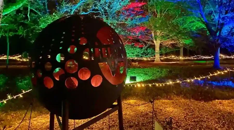 Windsor Illuminated
