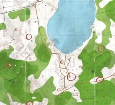 Woods Map Tarkov