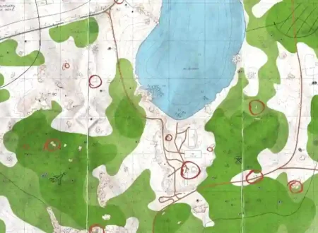 Woods Map Tarkov